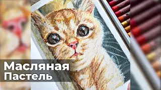 Масляная пастель | Первый опыт | Пастель 