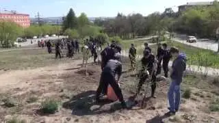 Посади дерево Победы
