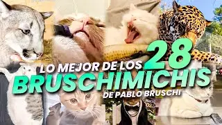LO MEJOR DE LOS BRUSCHIMICHIS 28 - PABLO BRUSCHI