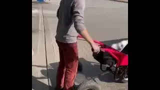 Садовая тачка с мотором