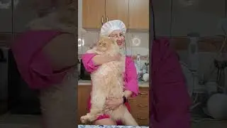 A big cat. Simba cat. Big cats. Mila naturist