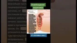 Очищение кишечника