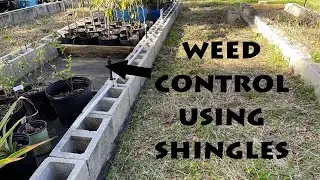 Using Shingles as Weedblock