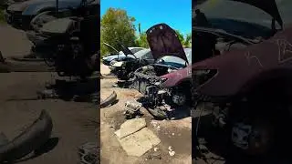 Junkyard life in Florida