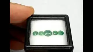 1 33cts  5pcs  Columbia Green Emerald