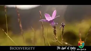 The Land of Hateg