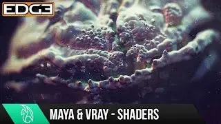 Maya Tutorial - Microscopic Shader with VRay HD