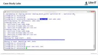 Case Study Lab VII: Parallel backup of partitions on external storage