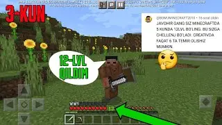 MINECRAFT CHALLANGE!!!