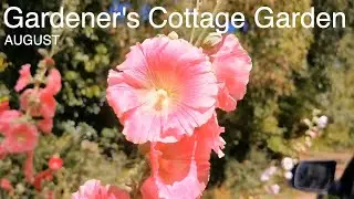 Gardener's Cottage Garden in August. 