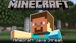 Minecraft Survival Stream Java Testing