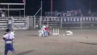 bull.avi