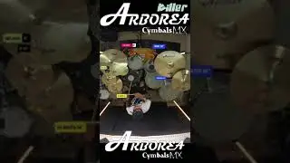 ARBOREA CYMBALS REVIEW SERIES KILLER/ #jeangonzalezdrummer