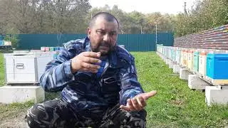 ИЗОЛЯЦИЯ МАТОК- НЕ ТАК ВСЁ ПРОСТО!!!!!