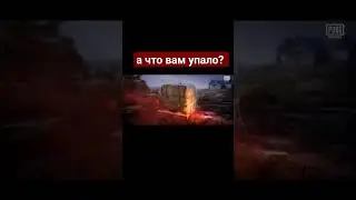 Что вам упало? 