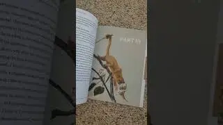 Carving Nature at Its Joints • Book Flip-Through