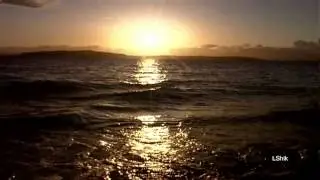 Kirpi - The Song.