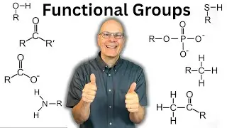 Functional Groups Explained so AP Bio Students can Understand!