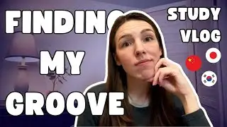 Starting a New Language Project After a Long Break || Study Vlog