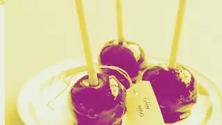 Edible Bugs 3