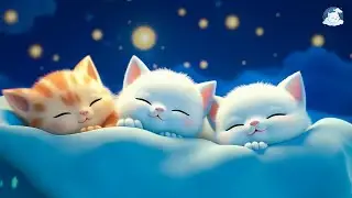 FALL ASLEEP QUICKLY 💤 Eliminate stress, increase deep sleep
