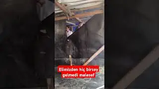 1 Eylül 2024