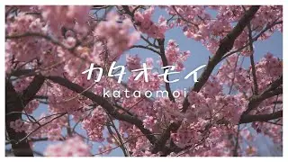 ✧ カタオモイ (Kataomoi) - Aimer | はとSEIKA