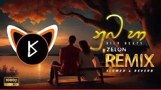 Numba Ha Dilu Beats ZELON Remix | Breakbeat Remix Sinhala