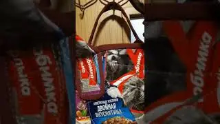 22 сентября 2023 г.