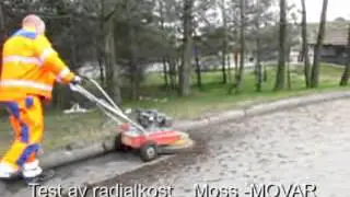 Moss 1