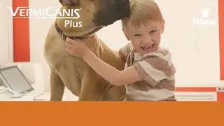 VermiCanis Plus - World Veterinária