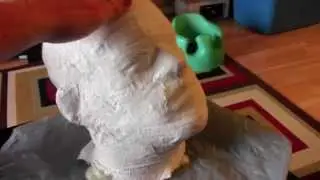 Head cast with plaster Tutorial
