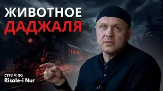 Знамения конца света и приход даджаля | 