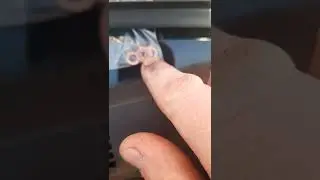 Рено Канго2 , долгий запуск