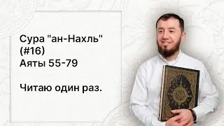 Урок № 92. Красивое чтение суры "ан-Нахль" (№ 16), аяты 55-79. #АрабиЯ​ #ArabiYA #Palestine