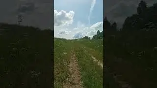 По полюшку #music #музыка