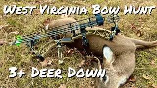West Virginia White-tail  Bow Hunt | 2023 Bow Season