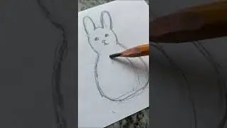 Заяц. 