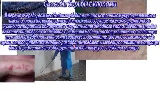 Клопы, методы борьбы с ними!
