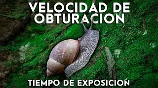 ¿Qué es el Tiempo de Exposición? / Velocidad de Obturación / Tutorial de fotografía en español