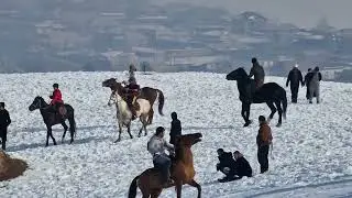 21 01 2023с Буз дар Султонобод Азам..бо Золотой