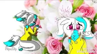 Gimme Gimme ~ meme