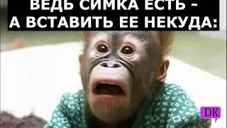 Прикольное видео! Жизненный юмор) Правдивые цитаты)