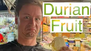IS DURIAN FRUIT ANY GOOD?