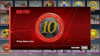 CS2 | Getting the 10 Year Veteran Coin