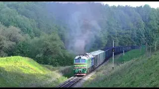 Smoke screen in a green forest