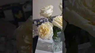 С днём влюблённых! Муж подарил цветы 