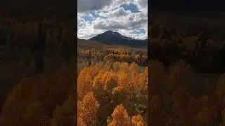 Fall color in California's Eastern Sierra