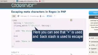 PHP tutorial :Escaping meta characters in Regex in PHP
