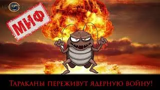 Факты и мифы о тараканах